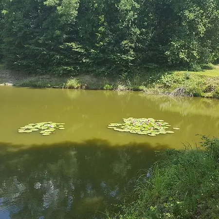 Διαμέρισμα Soncnica *