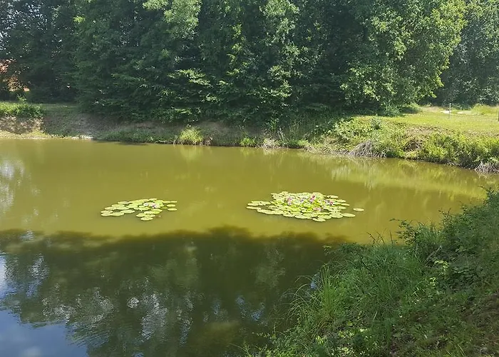 Apartment Soncnica *